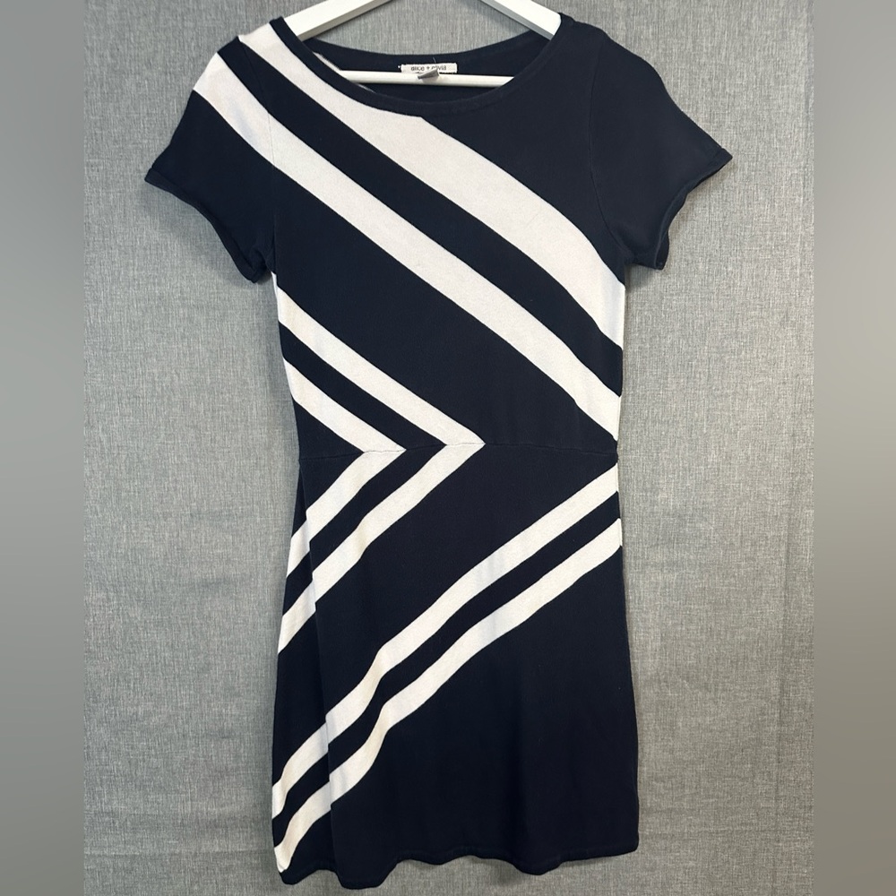 Shirt Dress